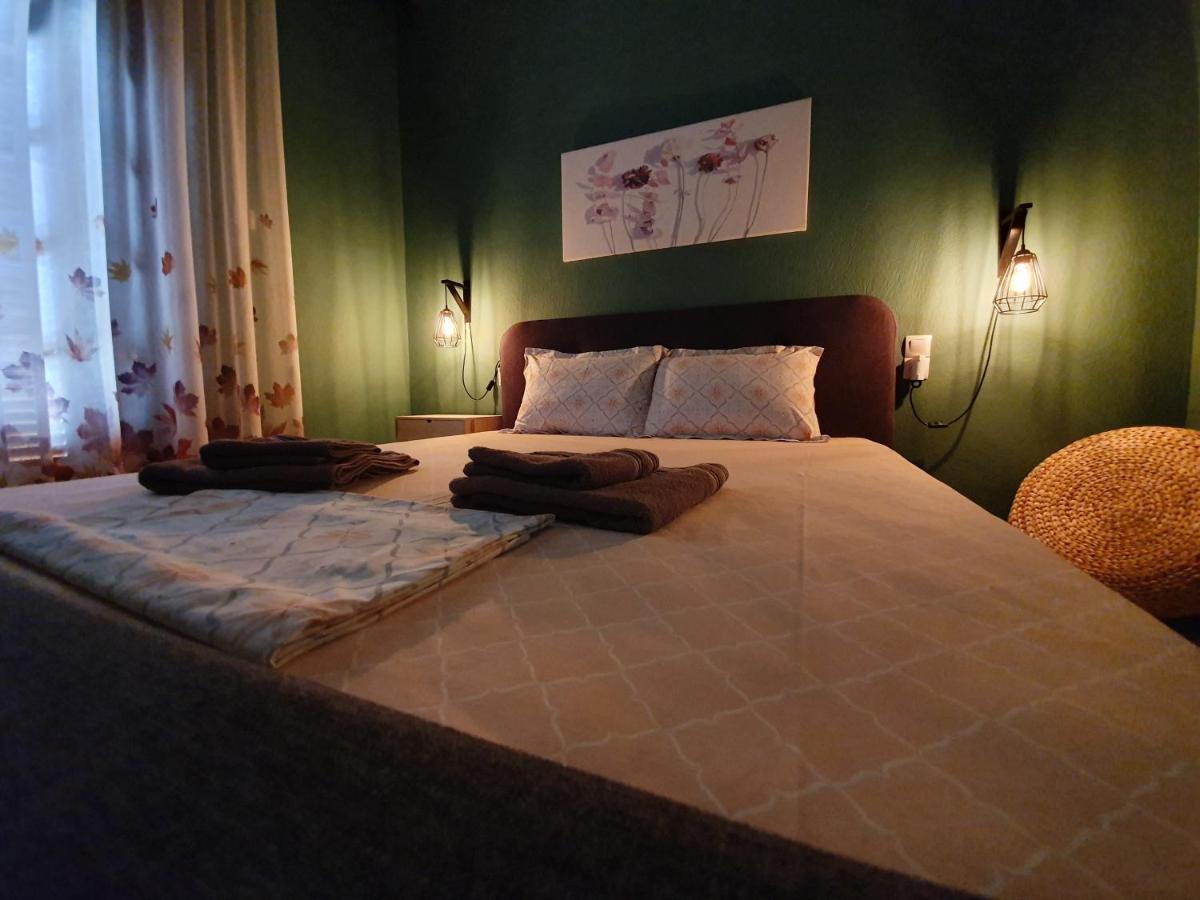 Homel Rocks -Elegant Apt 2Bd -Amazing Garden View Kalambaka Extérieur photo